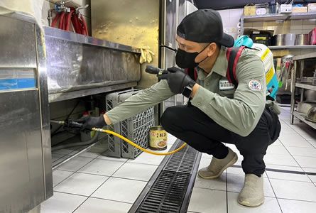 飯店廚房蟑螂防治